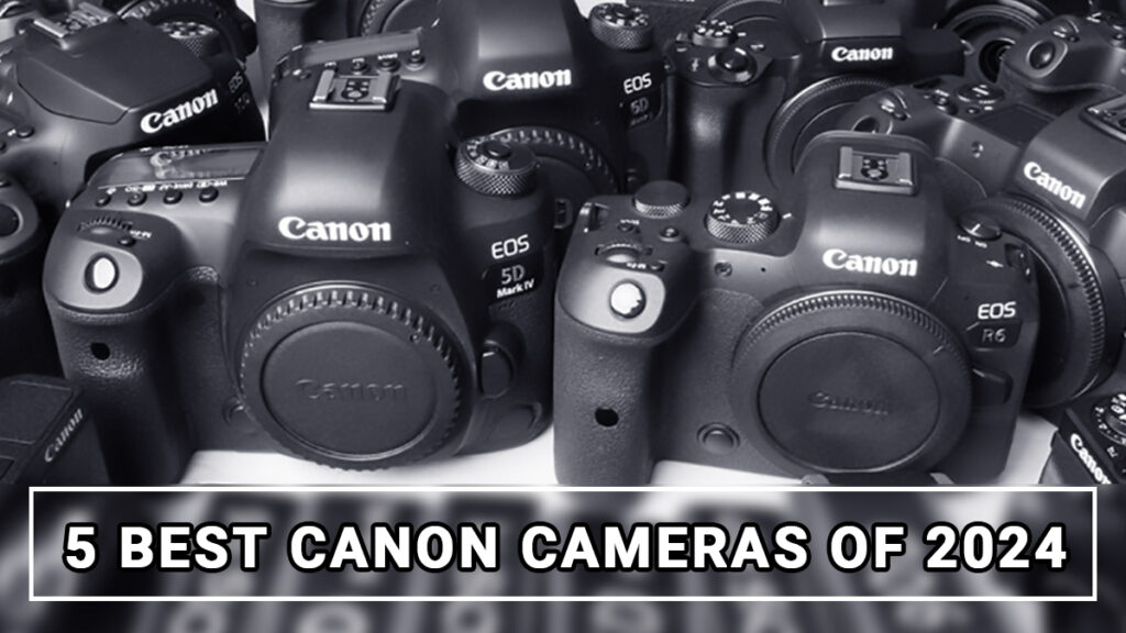 5 Best Canon Cameras of 2024 