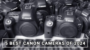 Read more about the article 5 Best Canon Cameras of 2025