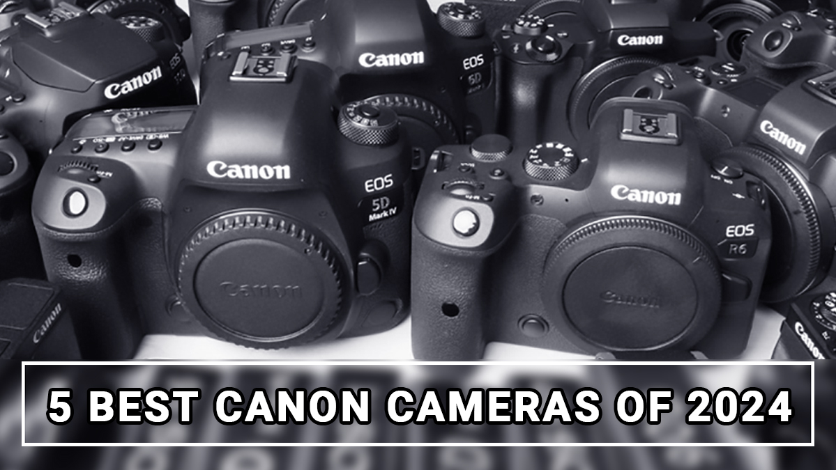 5 Best Canon Cameras of 2024 