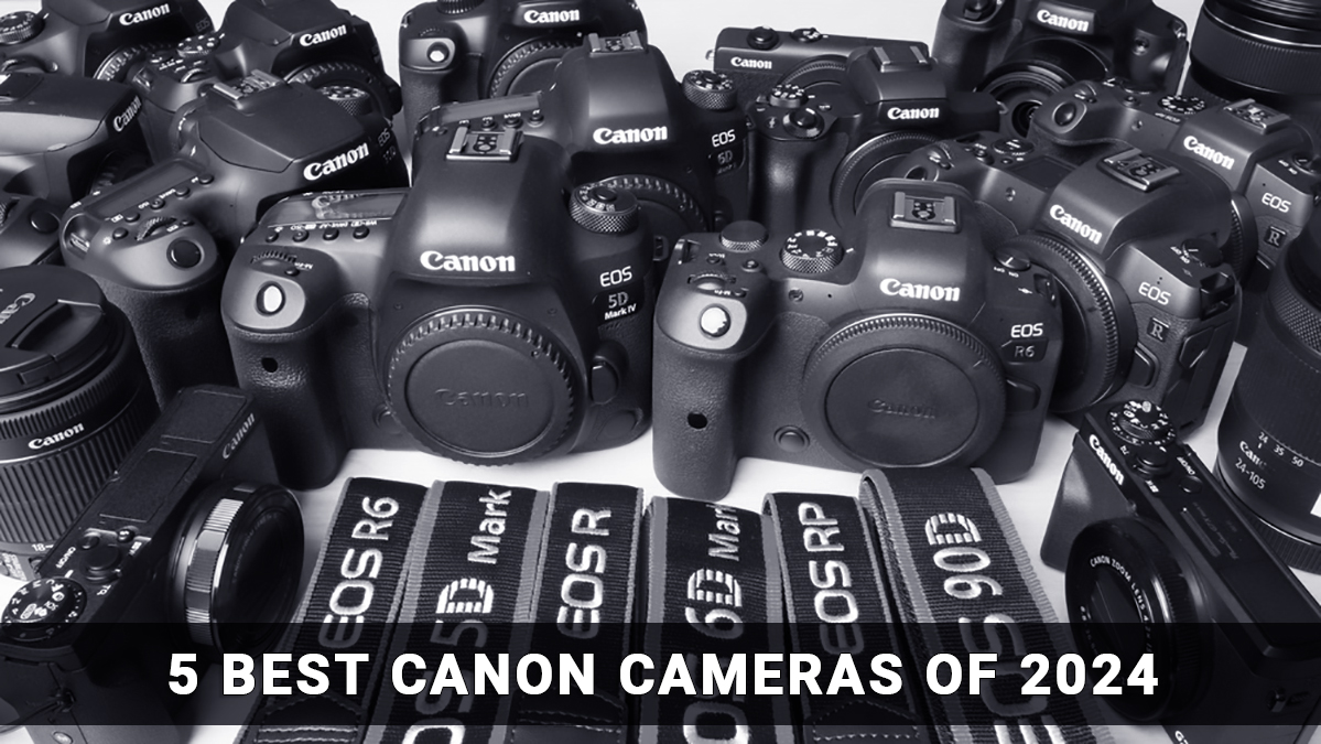 5 Best Canon Cameras of 2024